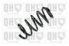 QUINTON HAZELL QCS6130 Coil Spring